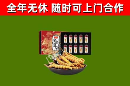 横峰回收冬虫夏草价格